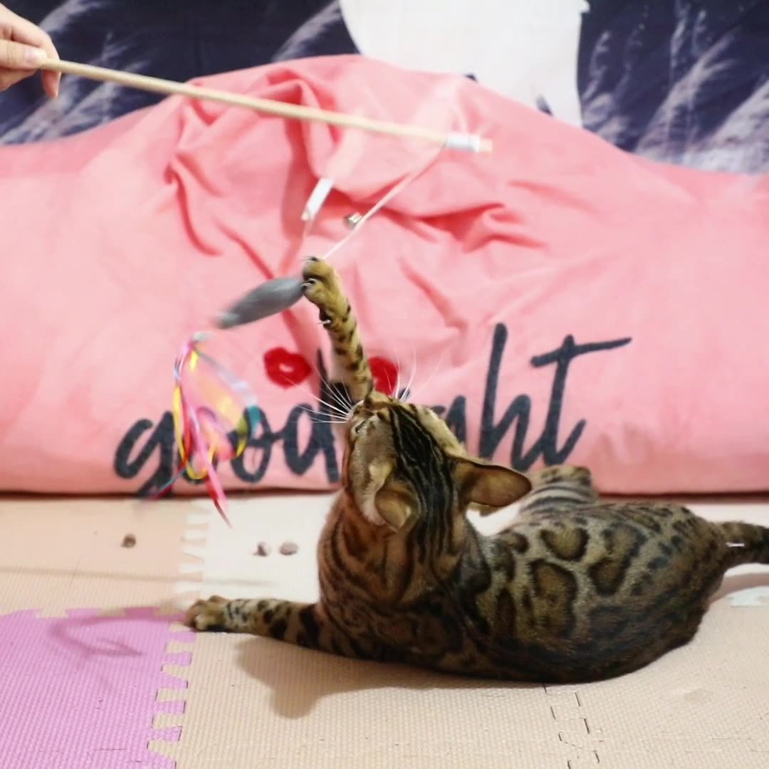 Cat Wand Toys Interactive Cat Toys With Catnip Fish Colorful Ribbons Bell For Kitty Kitten Cat Toys For Indoor Cats Cat Teaser Cat String Toy Cat Accessories - Image 2