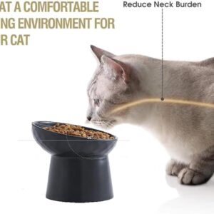 Ceramic Raised Cat Bowls Elevated Porcelain Pet Feeder Dish For Cats And Small Dogs Stress-Free Tilted Pet Food And Water Bowls Set Dishwasher And Microwave Safe