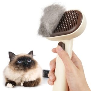 Cat Brushes