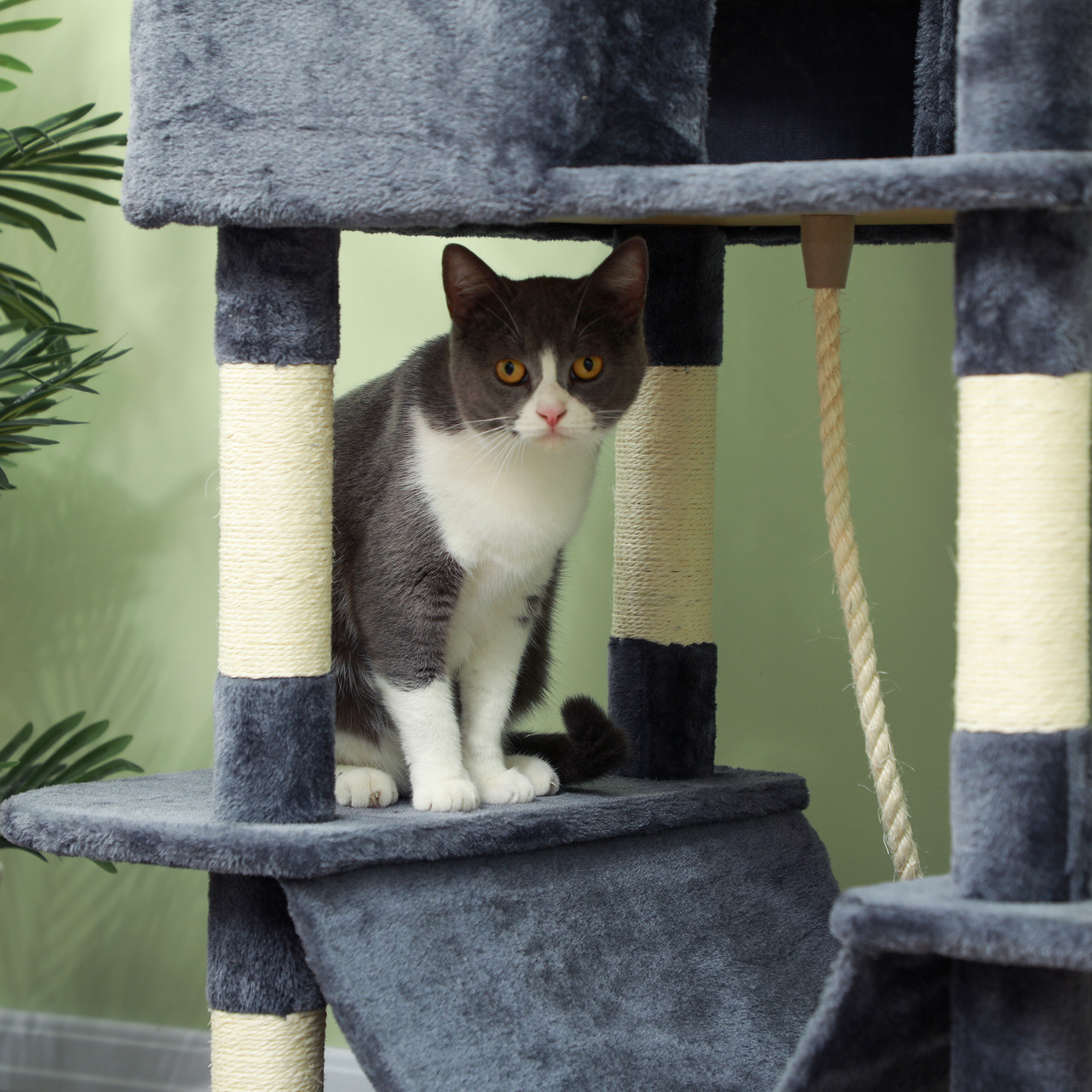 81" Cat Tree w/ Cat Scratching Posts, Scratching Board, Condos, Beds, Hammocks, Toy Balls, Rope Cat Toy, Gray - Image 3